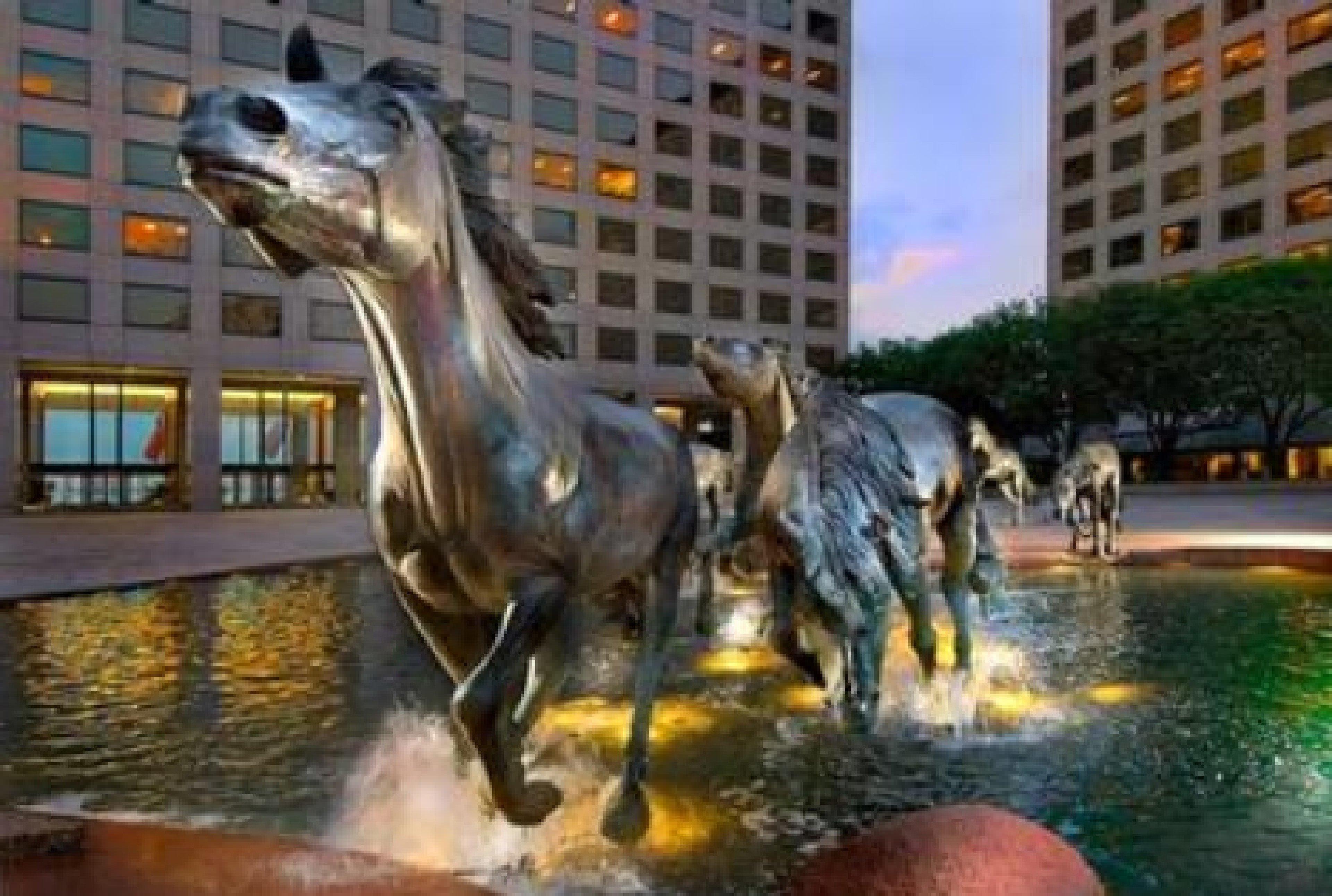 Sonesta Simply Suites Dallas Las Colinas Irving Extérieur photo